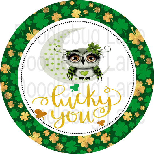 St. Patricks Day Wreath Sign-Lucky You-Owl Sign-Four Leaf Clover-Green And Gold-Metal Wreath Sign